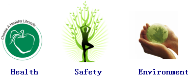 HSE